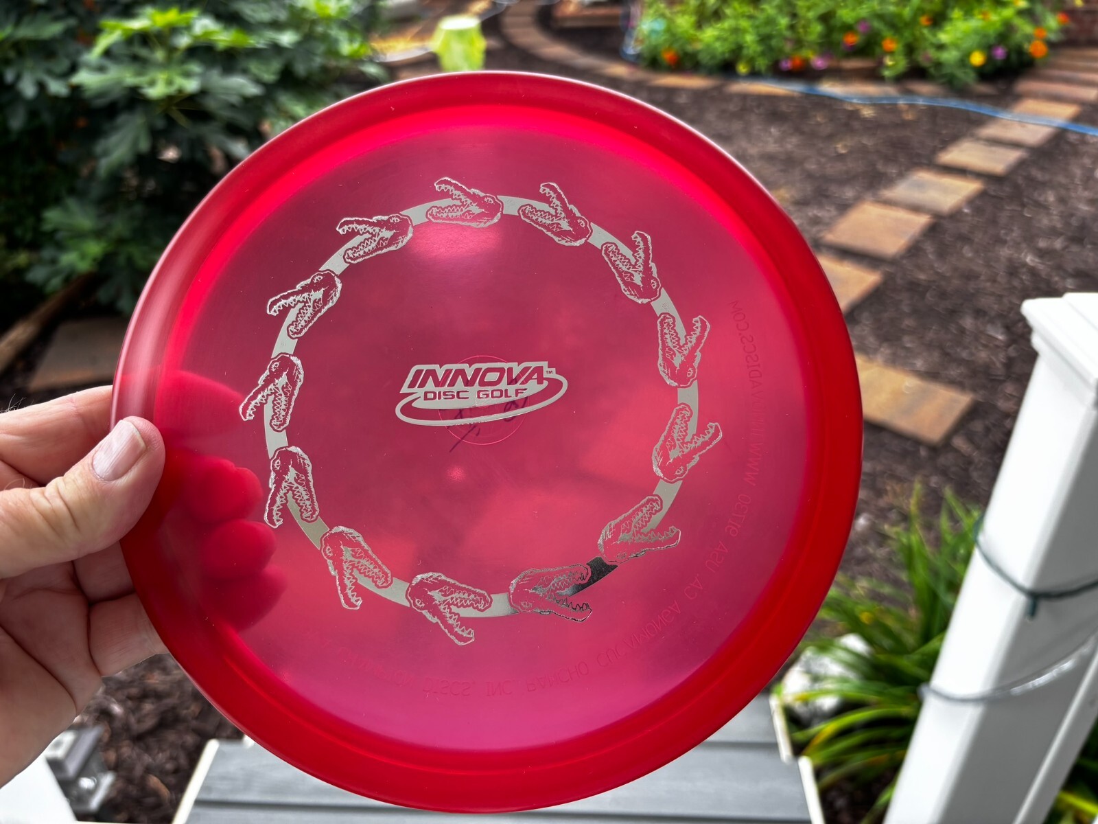 Disc Golf Innova Champion Gator (Ring of Gators) Penned PFN (Free Returns) #3968 - Thumbnail 5
