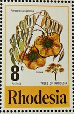 RHODESIA 1976 SG535 8c. TREES OF RHODESIA  -  MNH