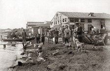 Constantinople Turkey Men Dogs Boats Donkey Waterfront Vtg. Photo 19thC.