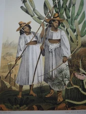 Antique Chromolithographs from Emory's Report "Papagos", 1857-59