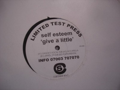 Self Esteem (2) - Give A Little, 12'', (Vinyl)
