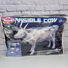 Skilcraft Visible Cow Plastic Model Kit Anatomical Animal NEW #74627 Damaged Box