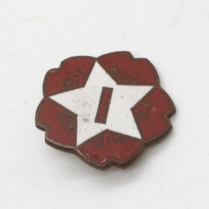 WWII Chinese or Japanese Military Pin