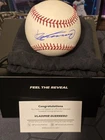 Vladimir Guerrero Authentic Autographed Baseball From 2025 Fanatics Under Wraps