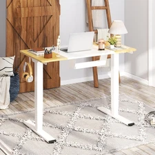 FLEXISPOT 63'' Standing Desk Electric Height Adjustable Desk