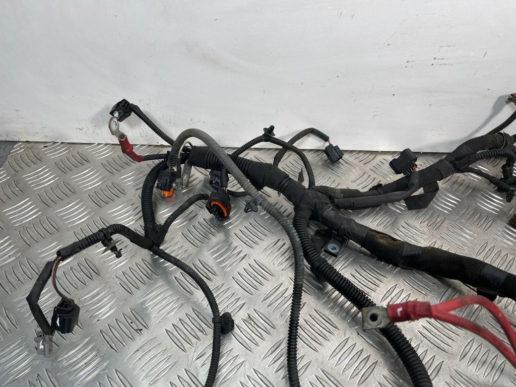 Picture 2 of 12