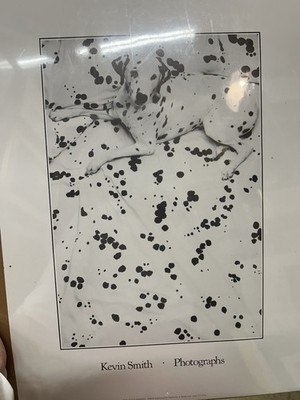 Kevin Smith Dalmatian Dog Print ''The Dog's Pajamas'' 1988