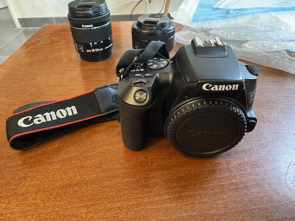 Canon EOS 250D, photo 4 sur 5