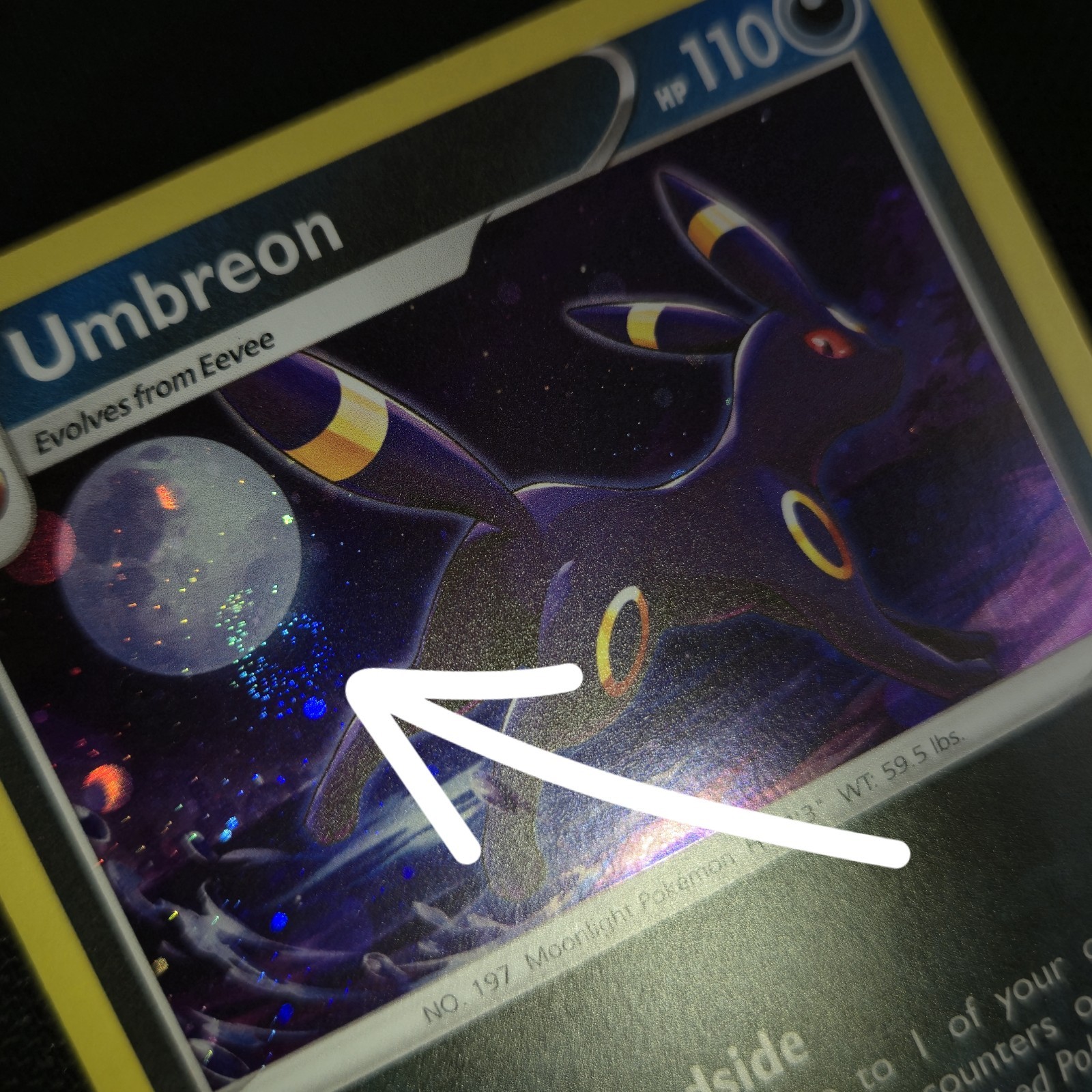 FART WHOLE SWIRL 🌀💫 Umbreon SWSH129 Evolving Skies Promo Holo Pokemon Card