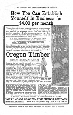 1907 Oregon Timber is Gold Ad * Invest Buy Stock in North Coast Co-op Lumber Co 