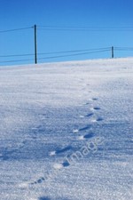 Photo 6x4 Tracks and wires Bentlawnt  c2010
