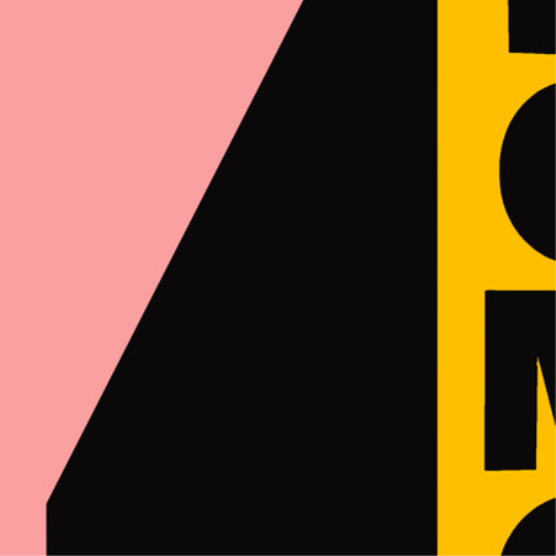 Bonn Never Ever (Vinyl) 12