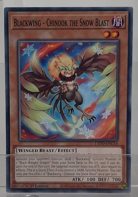 Blackwing - Chinook the Snow Blast - L5DD-ENC14 - Legendary 5D's Deck - EN/NM
