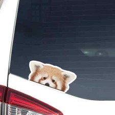 Adesivo impermeabile Peeking rosso testa di panda auto decalcomania vinile paraurti finestra Kawaii