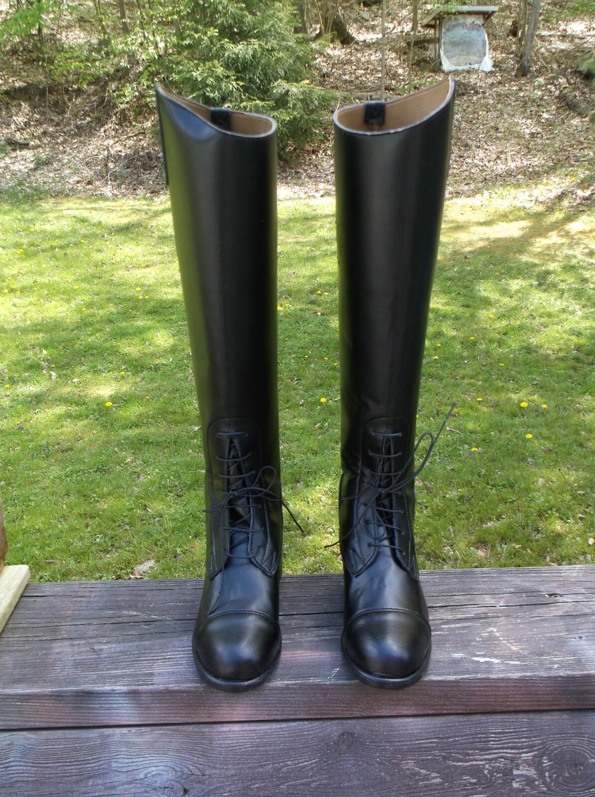toggi riding boots ebay