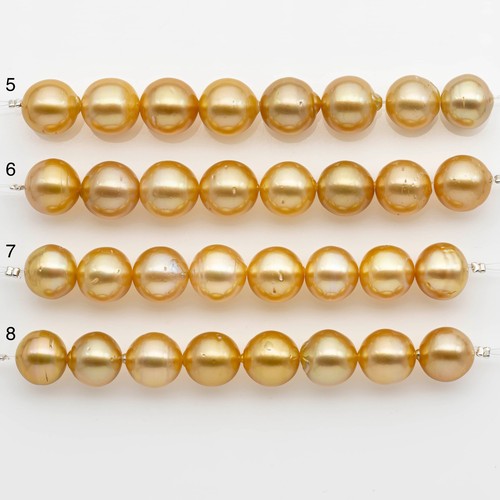 12-13mm Golden South Sea Pearls, Natural Gold or Champagne Color, For Jewelry M - Picture 2 of 9