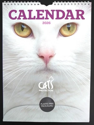 Cats Protection Cat Calendar 2026 - 31cm x 22.5cm Month View (Corby CP)REDUCED
