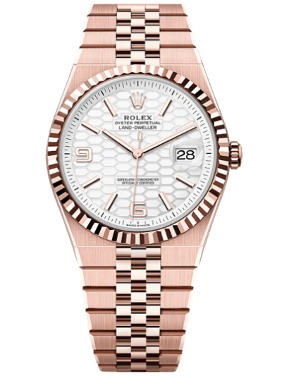 Rolex Land-Dweller 127335 for sale | eBay