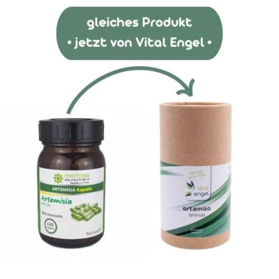 Artemisia annua (120 Kapseln)-Vital Engel ehem. Moringa Deutschland (778,48€/kg)