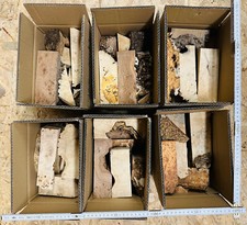 MASER MASERHOLZ ABSCHNITTE MIT NATURKANTE - RESTE aus dem Zuschnitt