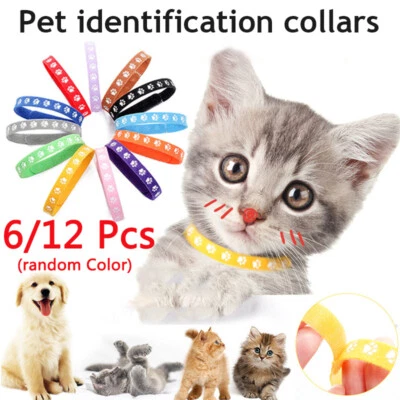 MARKENLOS 12/6X Farbwitterungs -Id -Kragenbänder Pet Puppy Kitten Identification С