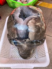 44LB Natural Volcanic agate Quartz hand Carved Skull Crystal Reiki healing Decor