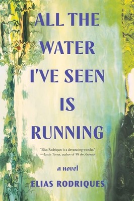 All the Water I've Seen Is Running: A Novel, Rodriques, Elias, Good Book