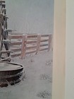 Bild 8 von 11