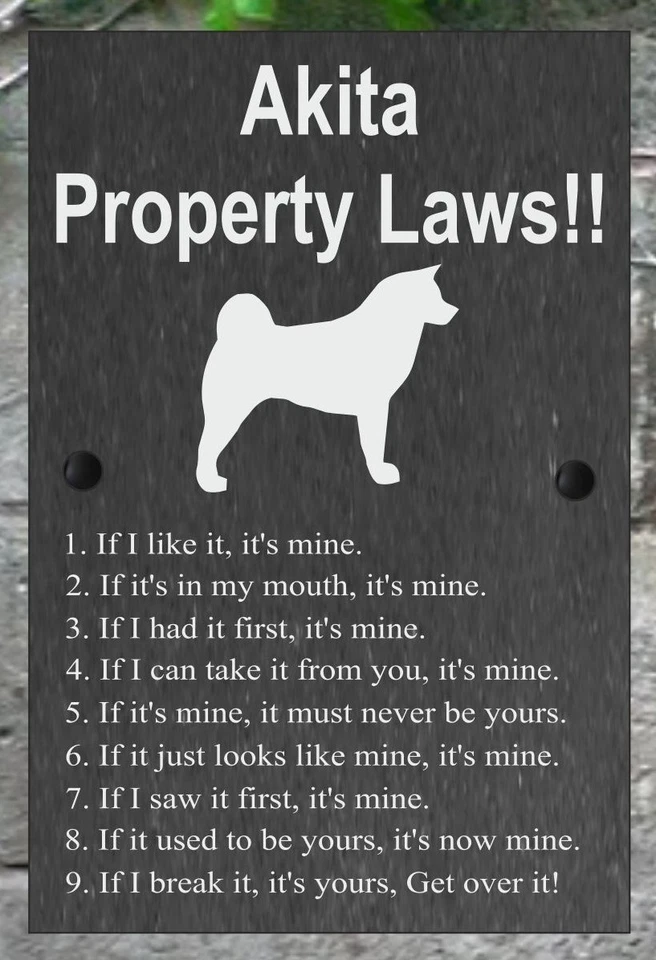 Property Laws Funny Dog Slate Sign Gate House 3 Sizes ALL BREEDS available A-C - Image 2 of 3