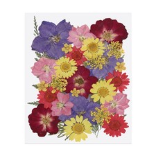 30 Pcs Dried Pressed Flower Leaves Bulk for Resin, Multicolor