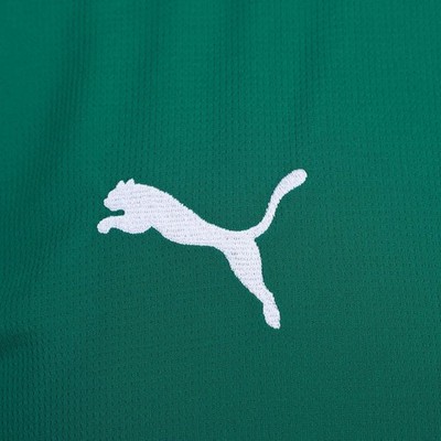Palmeiras I Fan 26/27 Authentic | eBay