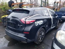 Driver Left Rear Side Door Fits 15-23 MURANO 4855633