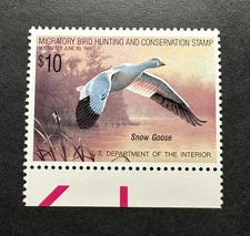 WTDstamps - #RW55 1988 - US Federal Duck Stamp - Mint OG NH
