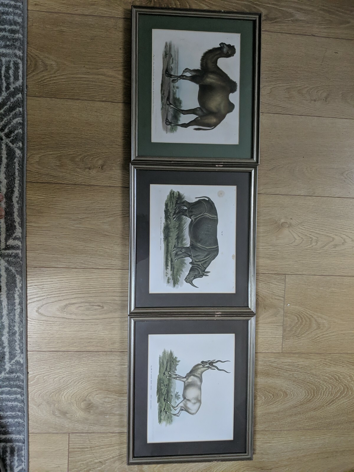 Picture 1 of 12