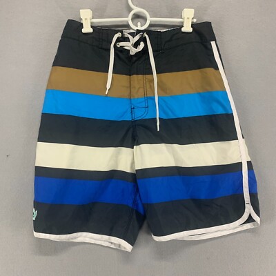 American Eagle Swim Trunks Mens 30 Multicolor Striped Board
