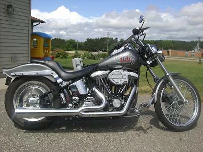 Harley Davidson Softail FLS FXS 1340cc 82" Motor EVO Acero Inoxidable Allen Tornillos Kit Foto 4 de 4
