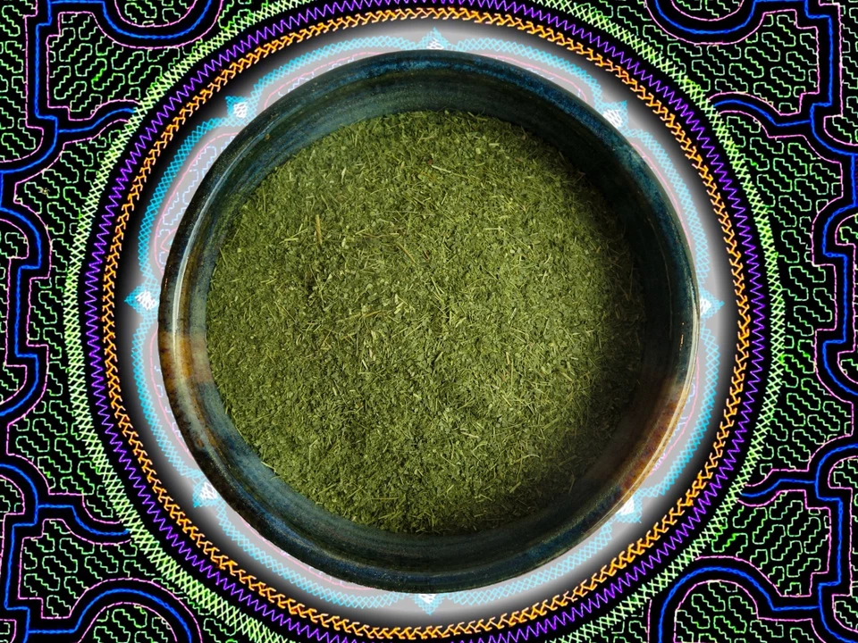 AHO GREAT SIRIT Ajo Sacha Powdered Leaves • Peru • Energy Cleansing Plant • Lucid Dreaming
