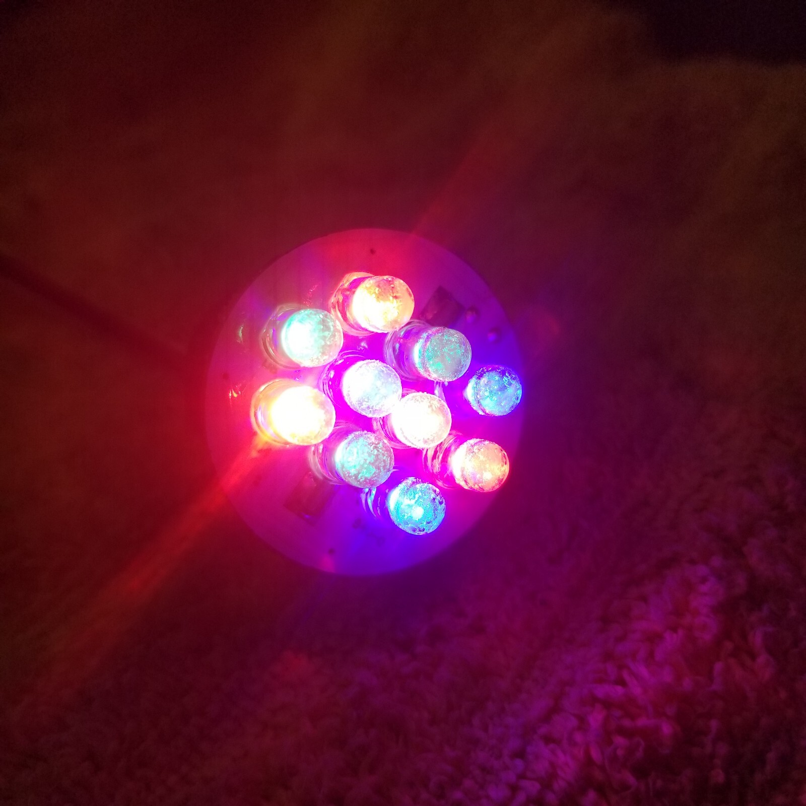 Replacement l COLOR LED Bulb, J & J Electronics Color Choice, 12vac, 9