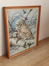 Basil Ede Print of Tawny Owl on Branch-Framed 9.5" × 11"