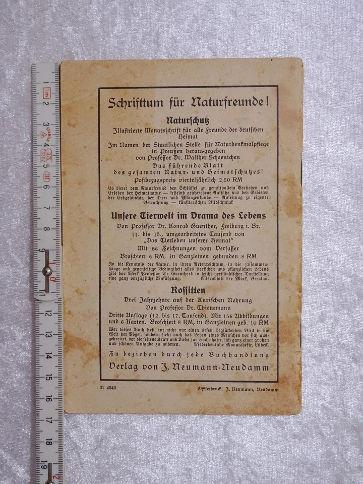 QdZDSA - Antike Broschüre Zooführer Berlin - Vintage 1931 - Reklame Werbung - Bild 2 von 4