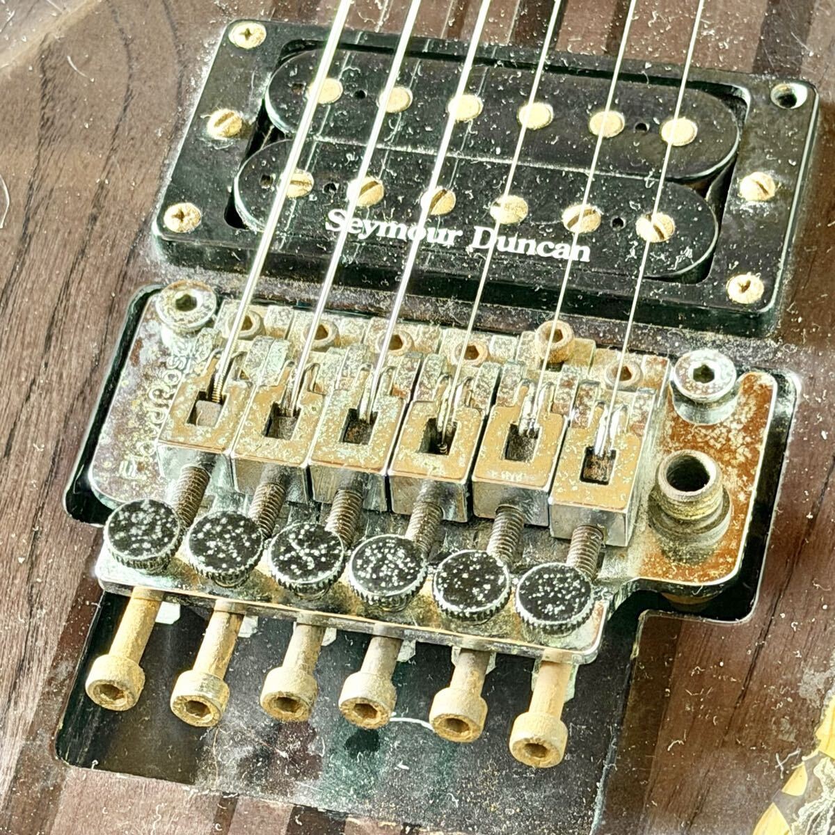 Electric Guitar Edwards E-FR-130GT Forest Shape S/N ED0511626 Sold