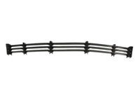 Blic 6502-07-0075910P KüHlergrill Gitter StoßStange Vorne FüR BMW 7 E38