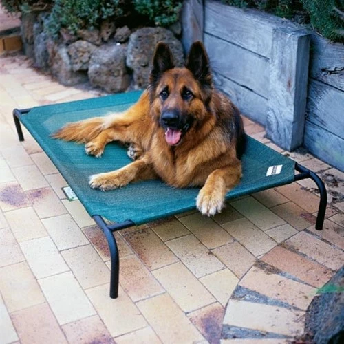 Coolaroo Elevated Dog Bed Indoor Outdoor Waterproof Breathable Fabric Green Lg