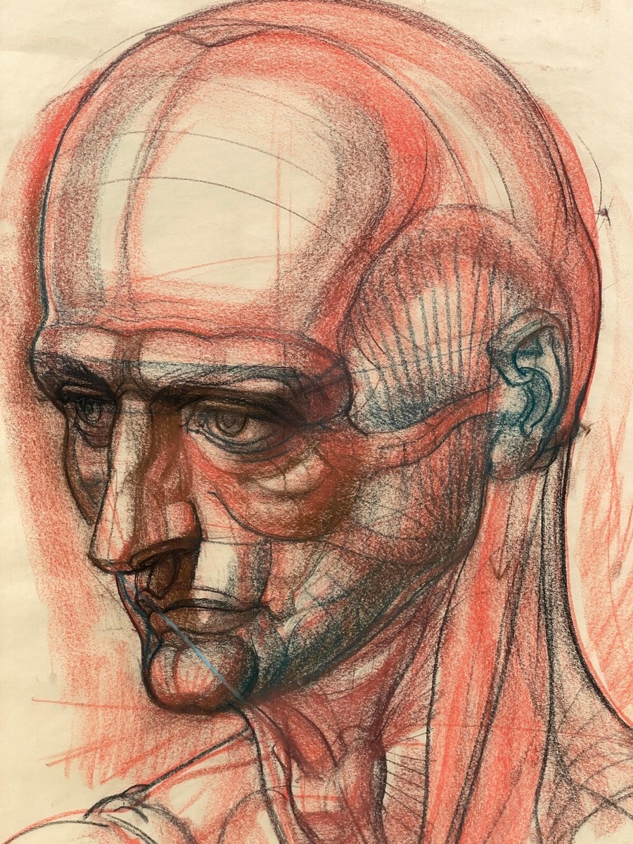 Large BURNE HOGARTH DYNAMIC ANATOMY ORIGINAL ILLUSTRATION CHALK ON