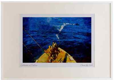 793037 Harpoon Shot At Whale From Cannon, By Norwegian Ship Watercolour Picture