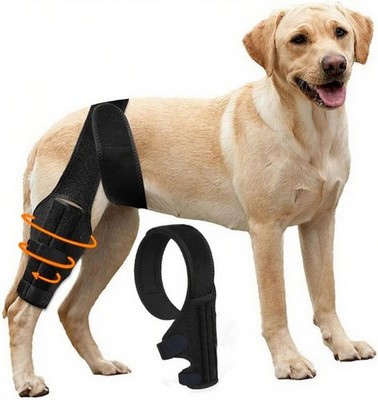 Dog Knee Brace for Torn Acl Hindeg, Adjustable Dog Knee Brace, Helps Relieve L