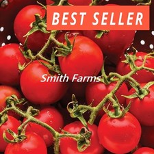 50 Seeds Gardeners Delight Tomato Hybrid Juicy Easy to Grow Vegetable Garden