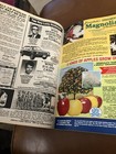 Ferndale Gardens 1977 Vintage Catalog  — photo 3