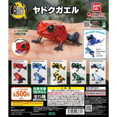 Animal Encyclopedia: Poison Dart Frogs complete set 5 Capsule Toy NEW
