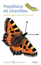 Schmetterlinge und Raupen, Léon Rogez